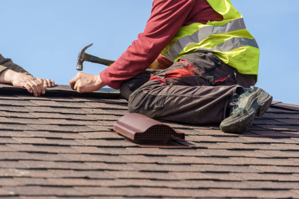 Roof Gutter Cleaning in Manton, MI